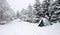 Tent Buried in Snow in Misty Winter Landscape