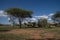 Tent camp in Serengeti National Park, Tanzania