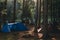 Tent camp among tall conifers. Warm beautiful morning sunrise, sunset. Brown tent with quick installation system. and a blue tent