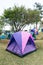 Tent in camping area for tourists on grass amid trees, electricity posts and mountain in Chiang Mai, Thailand