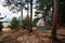 Tent Camping Campsite in the Woods Off the Beach