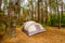 Tent for family camping in pine forest