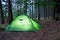 Tent in the forest