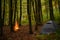 Tent in the forest by the campfire. State of recreation in wild nature. Beautiful moment to go outdoor during fall season