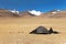 Tent in Himalayan mountains