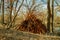 tent house made from dry branches of trees