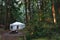 Tent in Lynn Valley Park