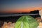 Tent in night, imsouane beach sunset