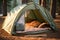 tent with open door revealing a cozy sleeping bag and pillow