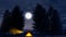 Tent, outdoor life, camping, social distancing. Holidays. Trees and nature. Night and moon shining in the woods. Unspoiled nature