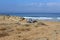 Tent on the shores of the Mediterranean Sea