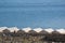 Tented tourist camp at Pangong Lake.Light and shade from sunrise