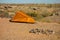 Tenting on the beach at lake powell