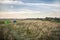 Tents on camping site in field during hunting season