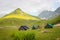 Tents erected on the trekking route to Gangabal Lake in Kashmir. Sunrise morning light hitting the mountain