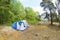 Tents in the forest and green grass. The travel closer to nature by creating temporary accommodation