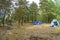 Tents in the forest and green grass. The travel closer to nature by creating temporary accommodation