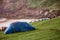 Tents by Keem beach, flock of sheep sleeps on the ground, Morning time