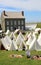 Tents set up across the lawns, ready for the reeanactments to begin, Fort Ontario, 2016