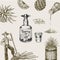 Tequila background. Glass bottle, shot with lime, blue agave Plant, barrel and farmer and harvest. Retro poster or