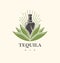 Tequila bar logo design  idea
