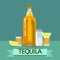 Tequila Gold Bottle Glass With Lemon Lime Salt Alcohol Drink