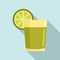 Tequila lime glass icon, flat style