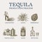 Tequila production process. Glass bottle, shot with lime, Distilled alcohol, blue agave Plant, barrel and farmer and