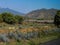 Tequila train and agave field