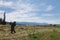 Terchova, Slovakia, 4th. July, 2018 : Old woman raking hay