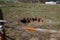 Terelle, Italy - March 15, 2009: The small sinkhole in the Terelle countryside in the province of Frosinone