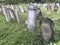 TERESVA, UKRAINE, SEPTEMBER 18, 2017; An old Jewish cemetery. Shattered gravestones stand among the green grass. On them - inscrip