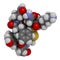 Terlipressin drug molecule. 3D rendering. Atoms are represented as spheres with conventional color coding: hydrogen white,