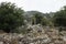 Termessos ruins an ancient city in the historical area of Pisidia