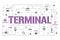 Terminal word concepts banner. Airport service for passengers. Airline flight infographics. Presentation, website. UI UX idea.