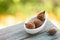 Terminalia bellirica or Beleric Myrobalan, fruits on nature background