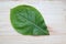 Terminalia catappa green leaves isolated on wooden background closeup.