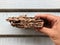 Termite damage wooden piece in man hand - Pest control problem