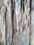 Termite-eaten and worn plank background