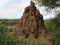 Termite hill in Africa