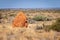 Termite hill in sunset light close to Exmouth Western Australia