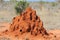 Termite Mound