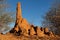 Termite mound