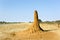 Termite mound along a street