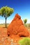 Termite Mound in Australian Outback, Western Australia