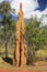 Termite Mound Cape York Australia