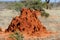 Termite mound in savanna