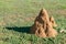 Termite Mound and Shadow