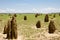 Termite Mounds - Australia