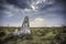 Termite mounds in Pantanal countyside environment, Transpantaneira Route,